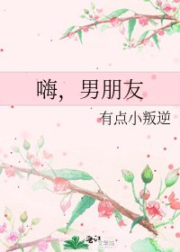 嗨，男朋友